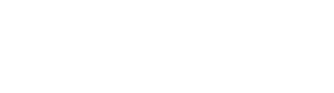 Transform Exec White